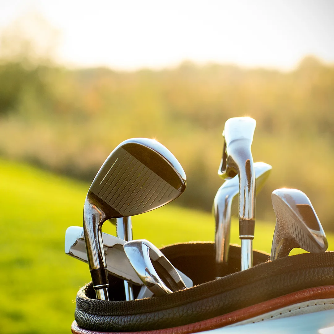 misc_3-elvariquegolf
