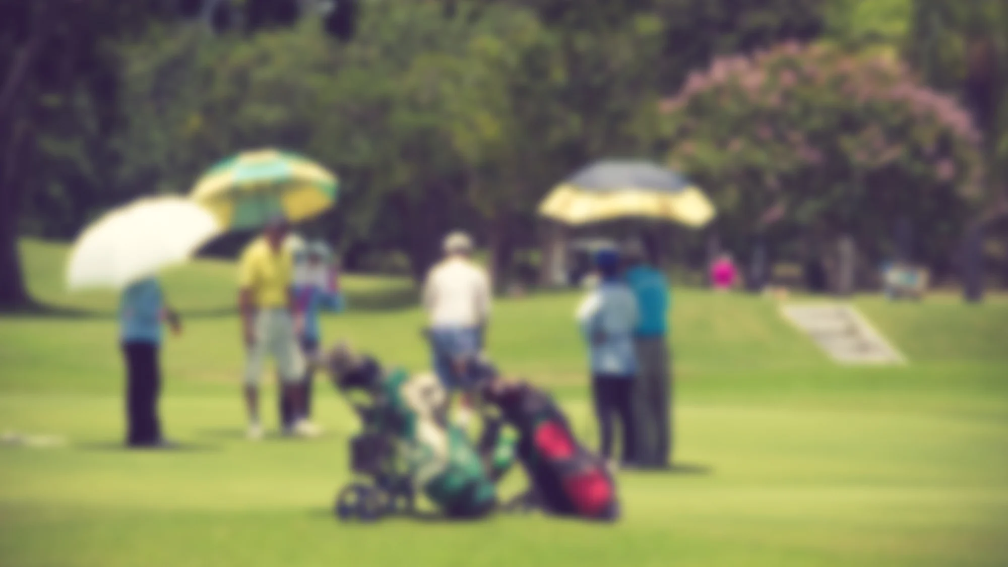 misc_7-elvariquegolf